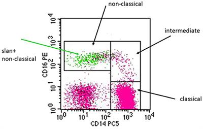 6-Sulfo LacNAc (Slan) as a Marker for Non-classical Monocytes